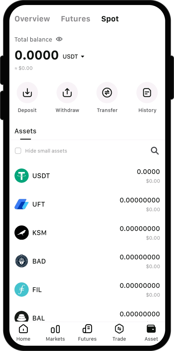 What Can I Do After I Buy SafeplusV2 ($SPLUSV2)?